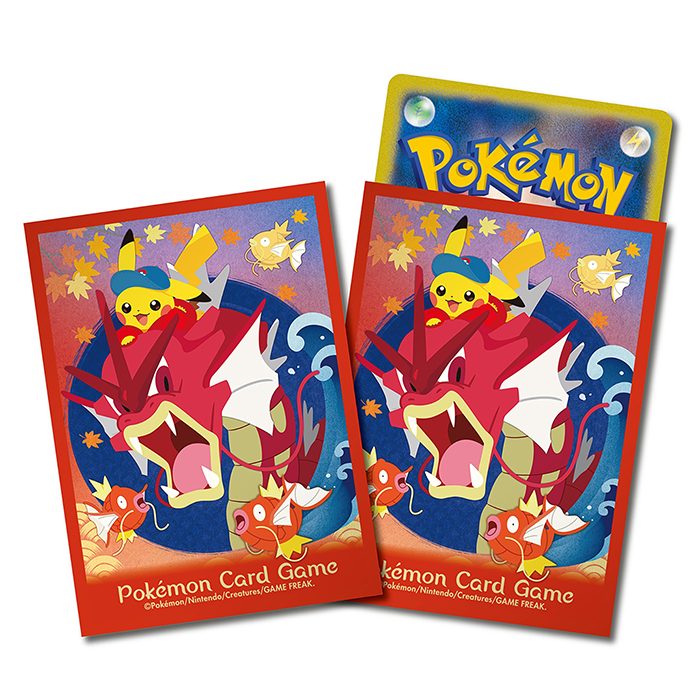 Special box Pokemon Center Hiroshima (Jap)